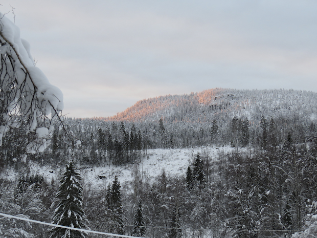 Bergtjärnsberget